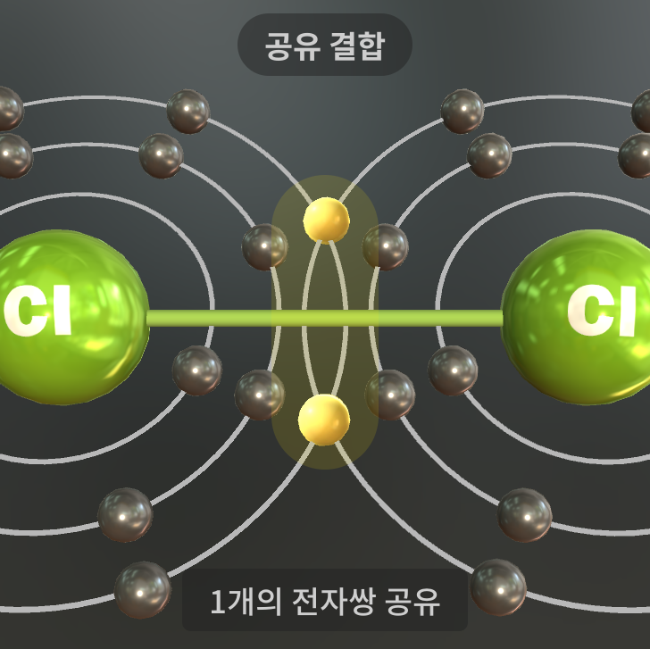 공유 결합